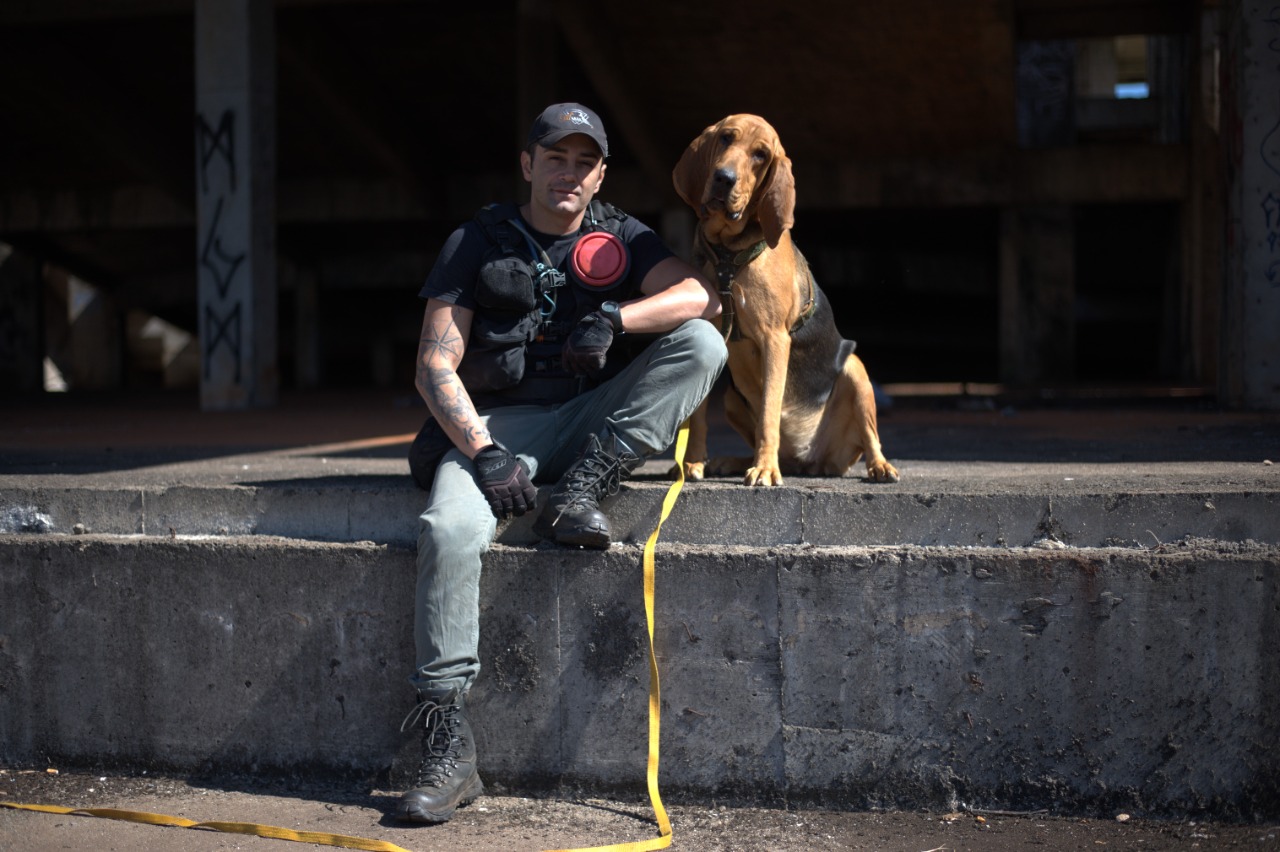 Condutor K9 com Bloodhound