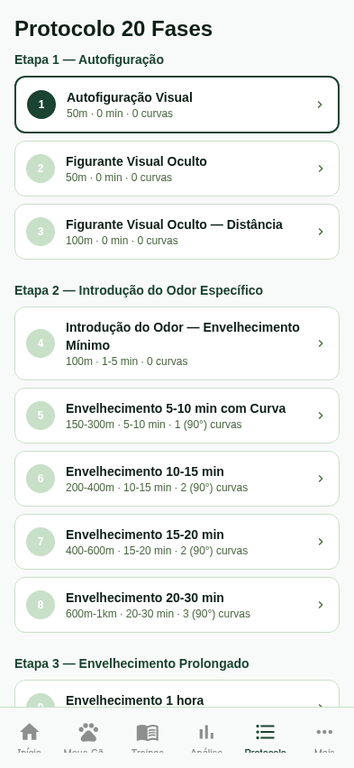 Protocolo 20 Fases